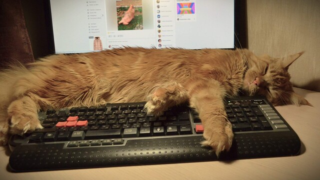 Поищите другой компьютер, этот занят