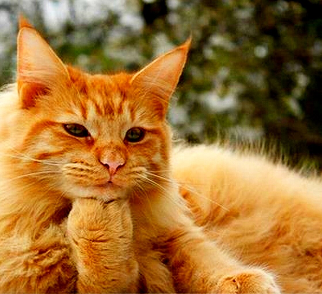 Жизнь - классная штука