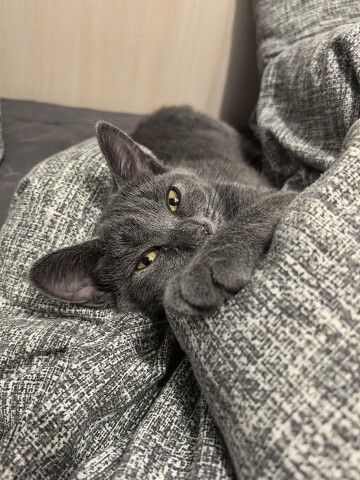 Жорик просыпается