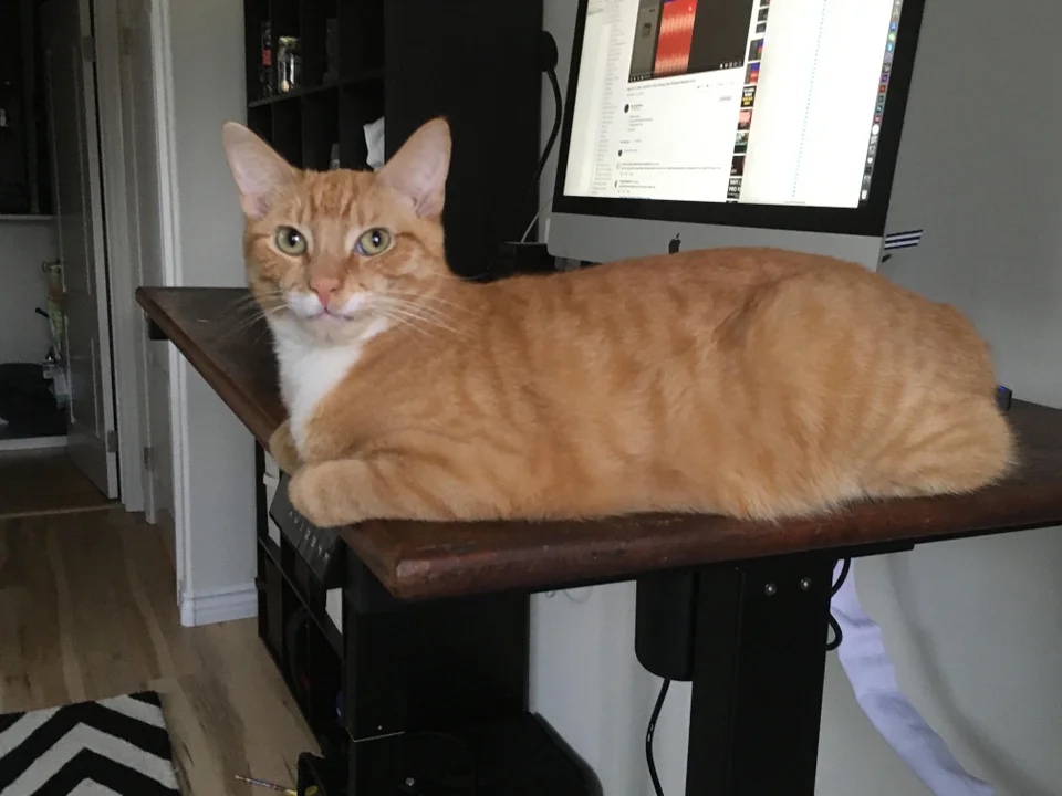 Где вы ходите, почему я ваше рабочее место должен сторожить бесплатно