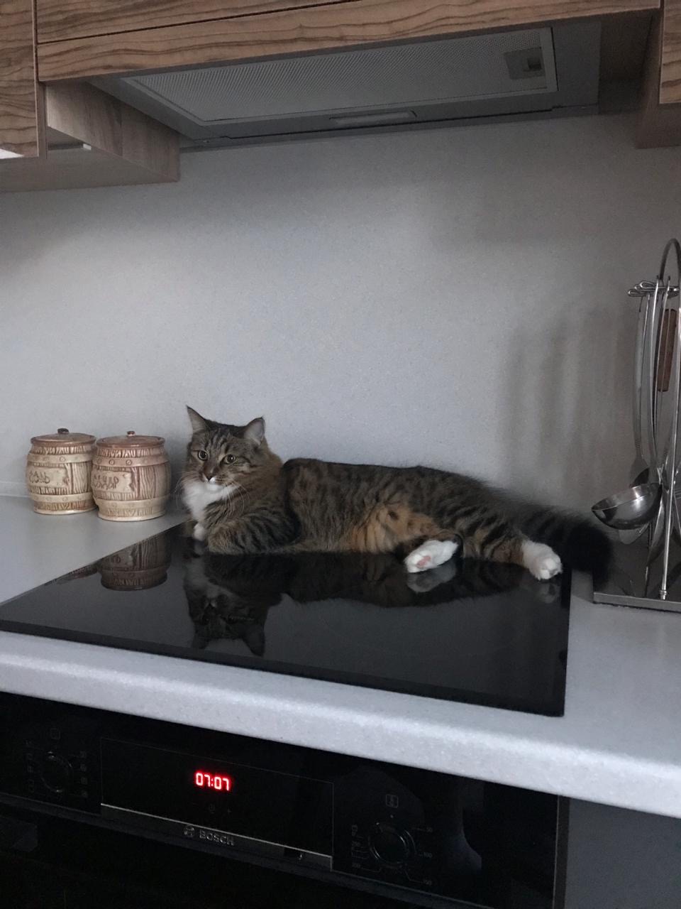 В животе урчит, а завтрака всё нет