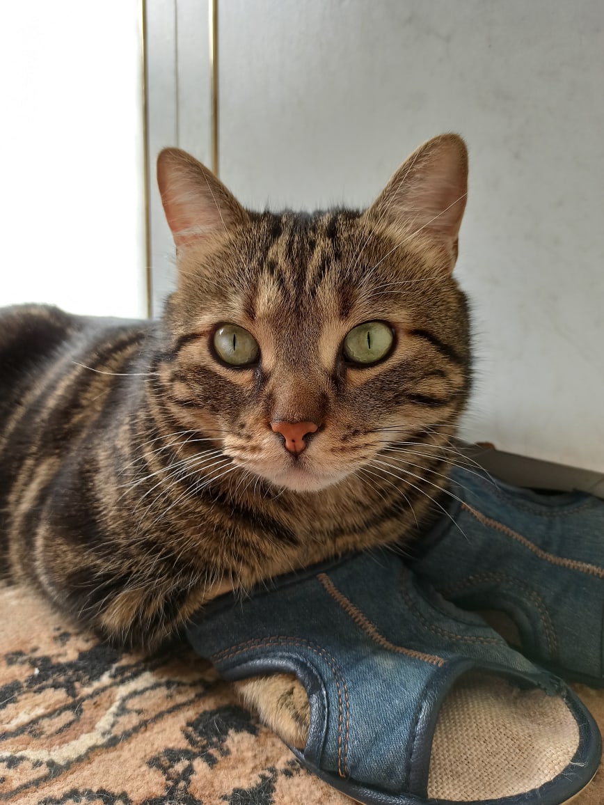 Кто первый встал, того и тапки