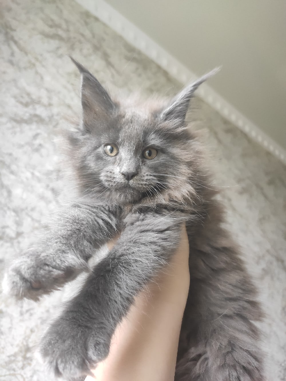 Что, соскучились по мне