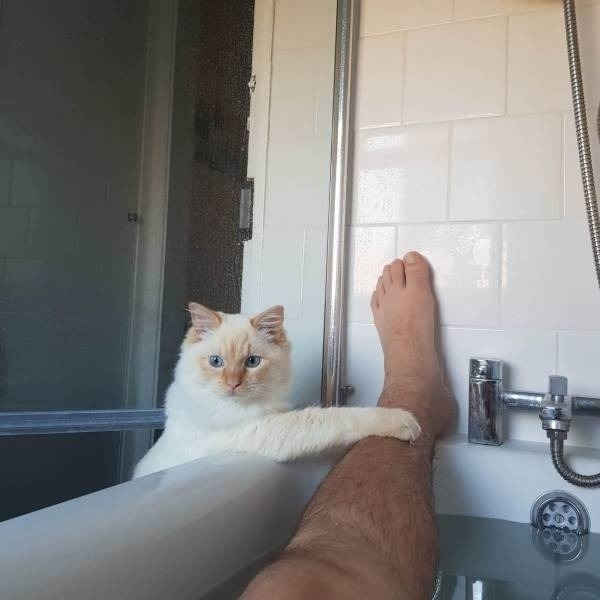 Хватит купаться, я устала тебя за ногу держать