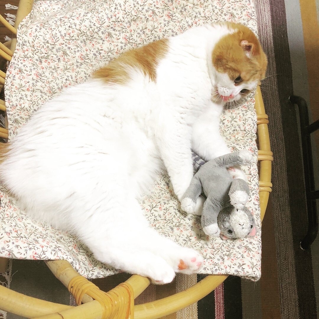 Иди мой сладенький под бочок, спать будем