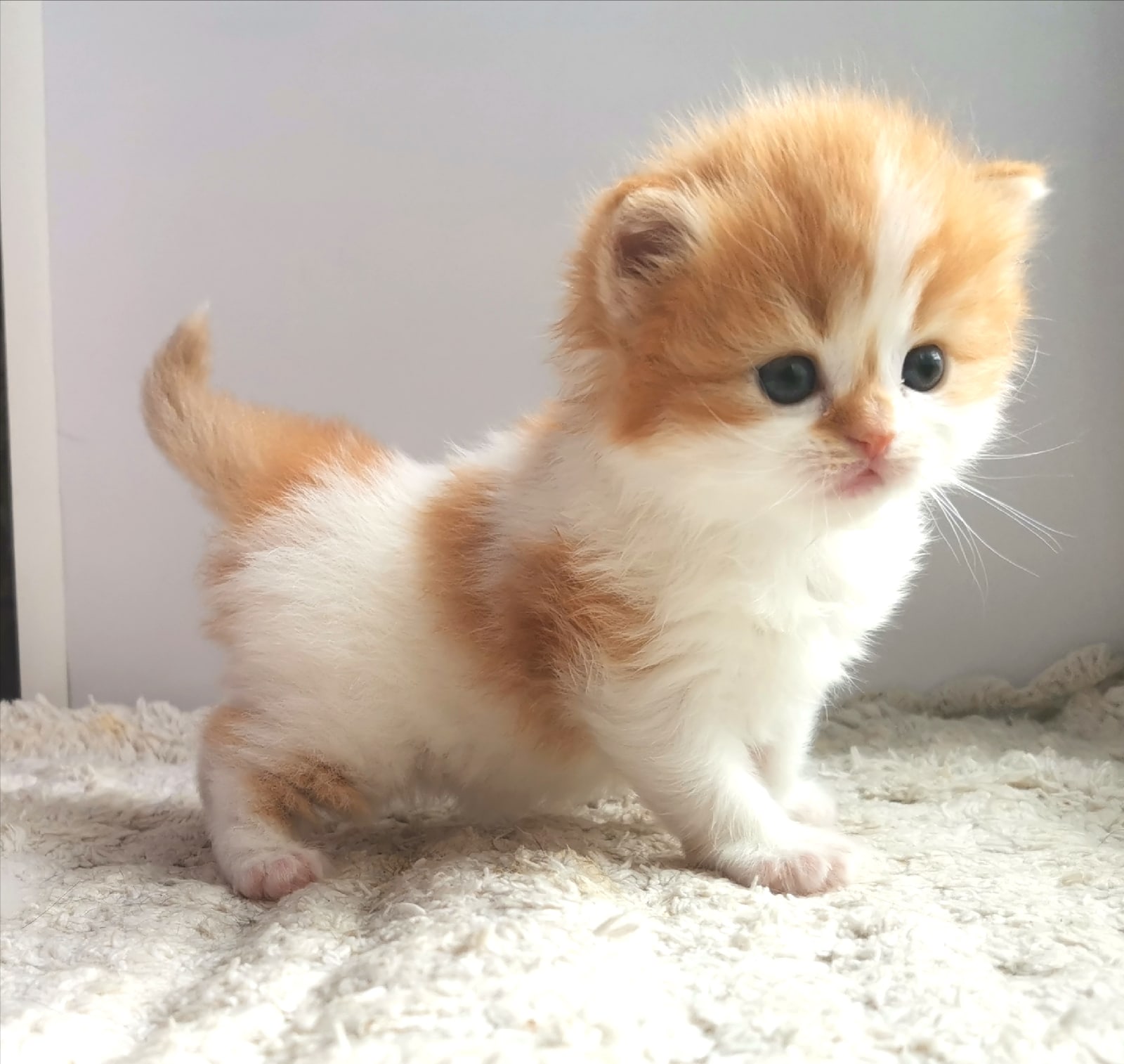 Я отправляюсь в путешествие по квартире