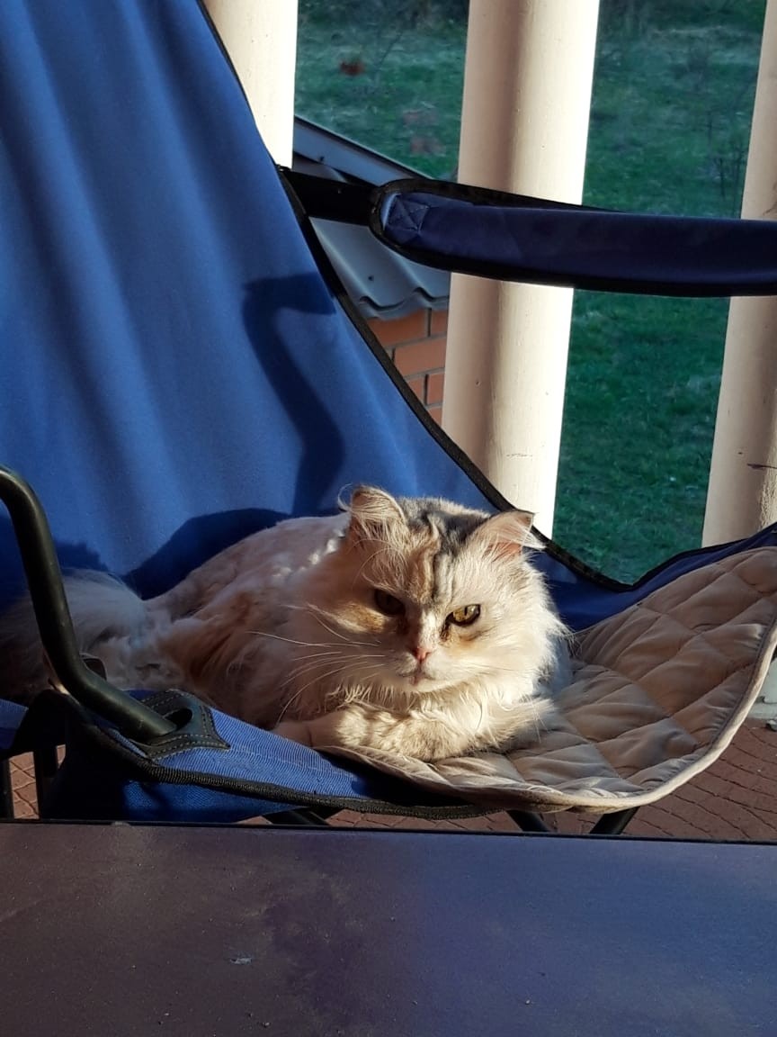 Дайте насладиться осенним теплом