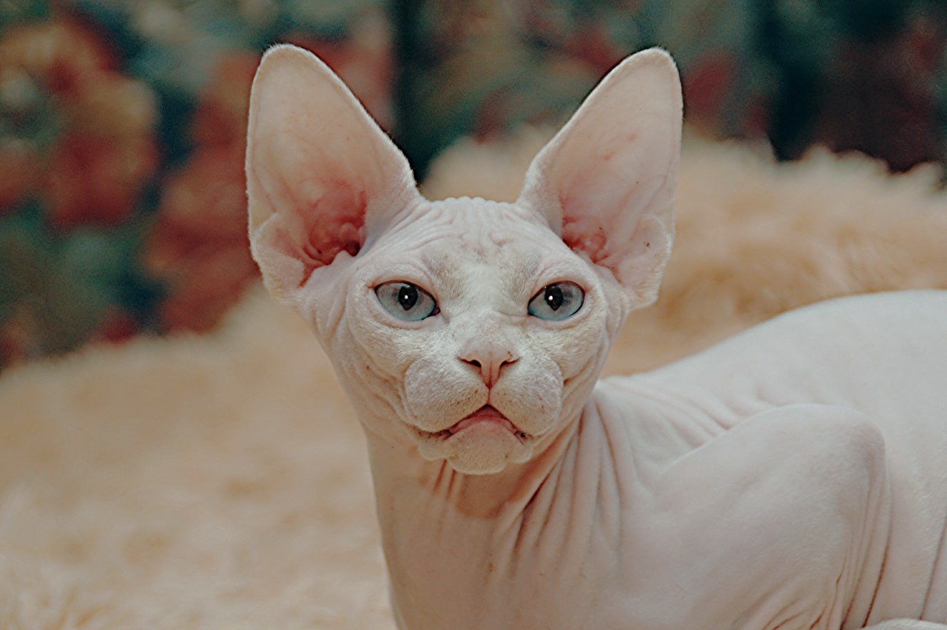 Чуть не уснула, в ожидании вас