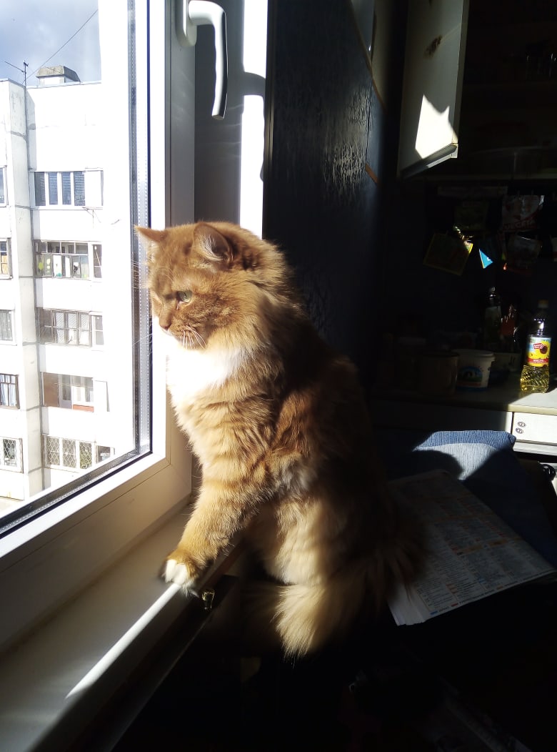 Мне с высока всё видно