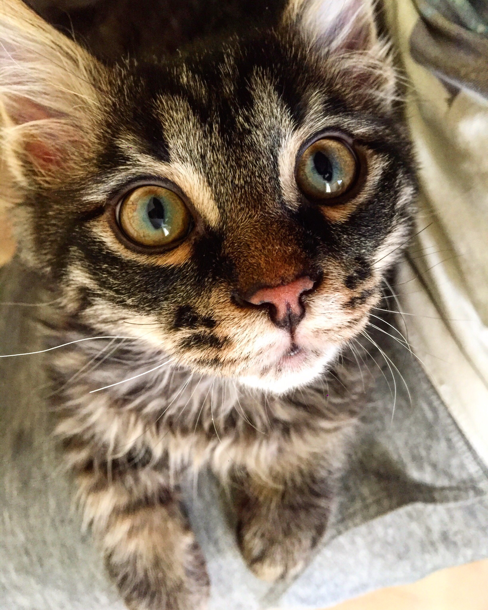 Мне самому тут места мало, так что, проходите мимо