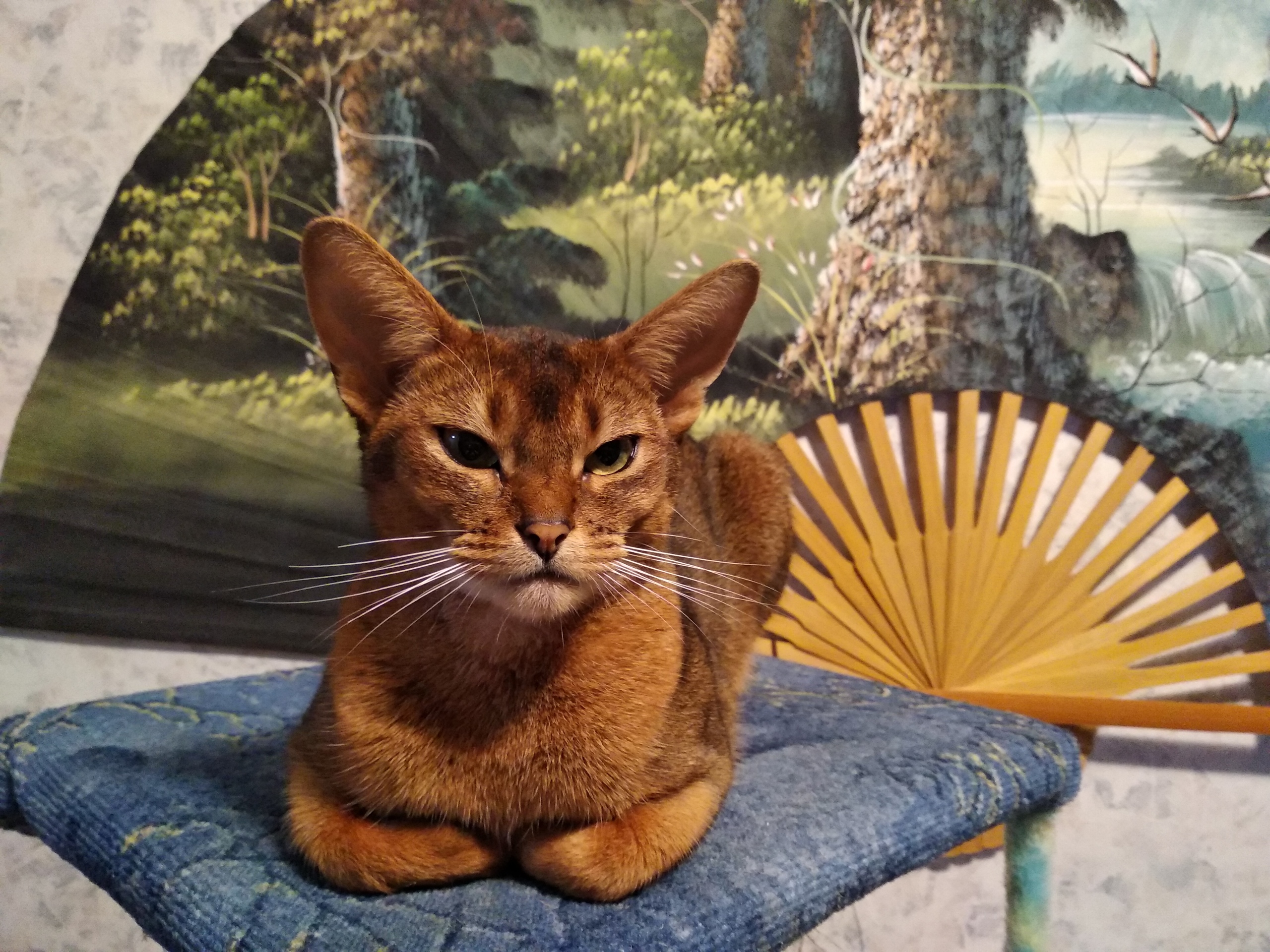 Лето прошло, а на отдых так и не съездили