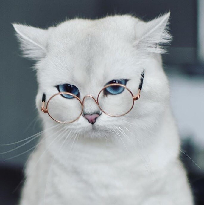 Сегодня я провожу планёрку, так что присаживайтесь