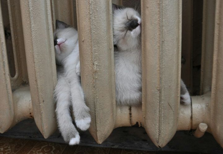 Батарея тёпленькая, кайф