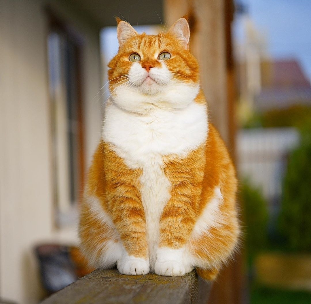 Кажется, дождь собирается