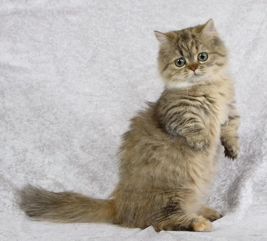 Дайте мне себя в порядок привести, потом фоткайте