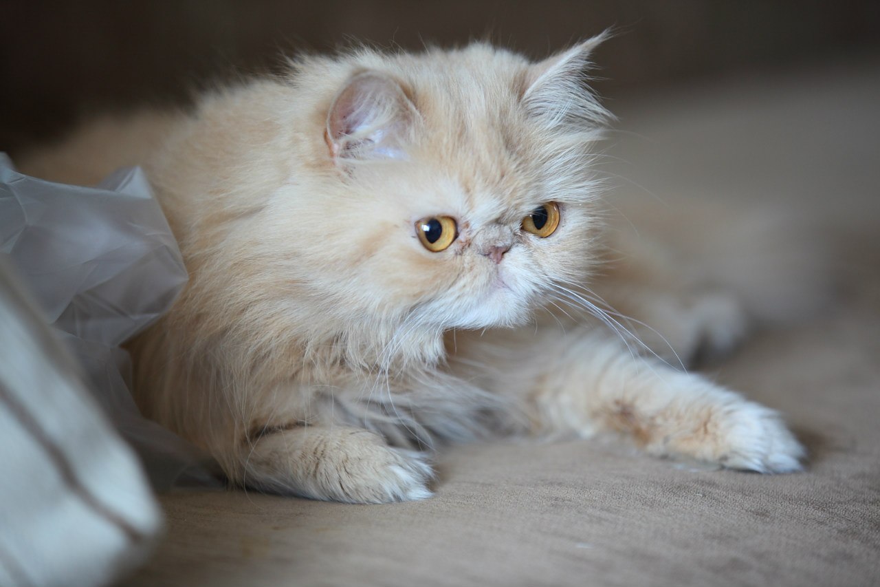 Наверно надо вас всему учить, всё не так делаете