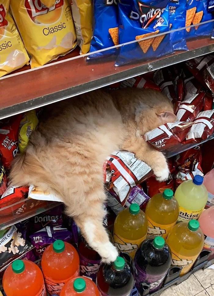 Тяжела работа в магазине