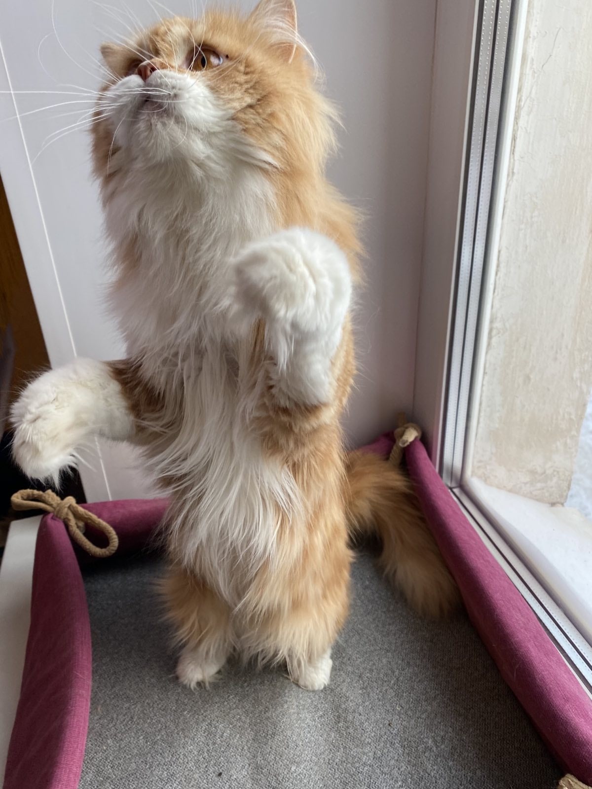 Срочно требуется помощь в виде - обнимашек