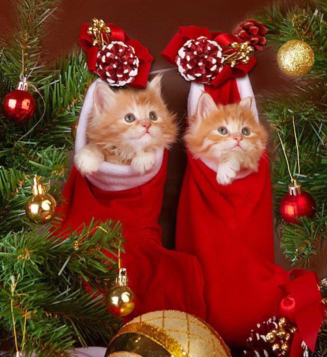 Отличные подарочки