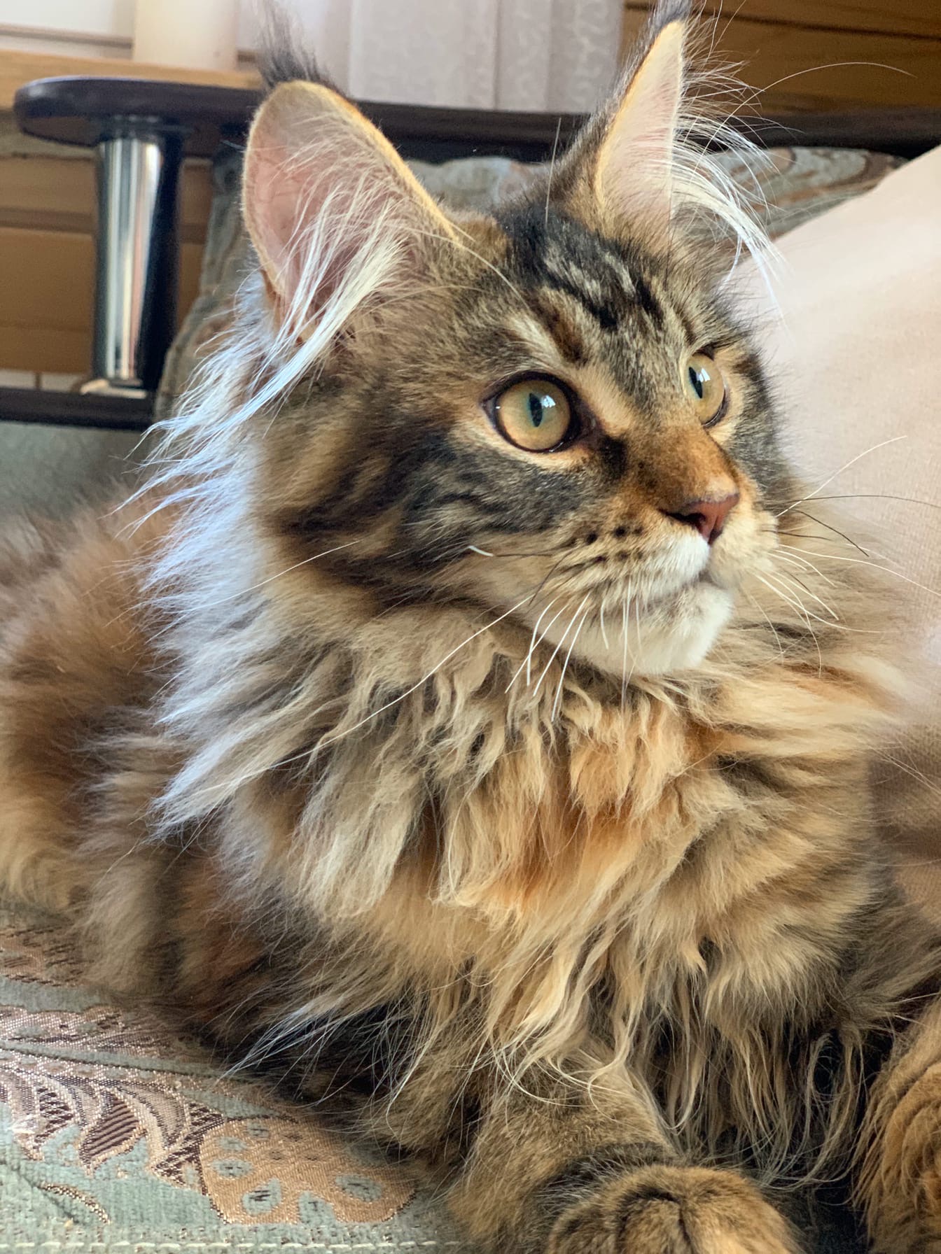 Я вас целый день ждал, теперь ухаживайте за мной