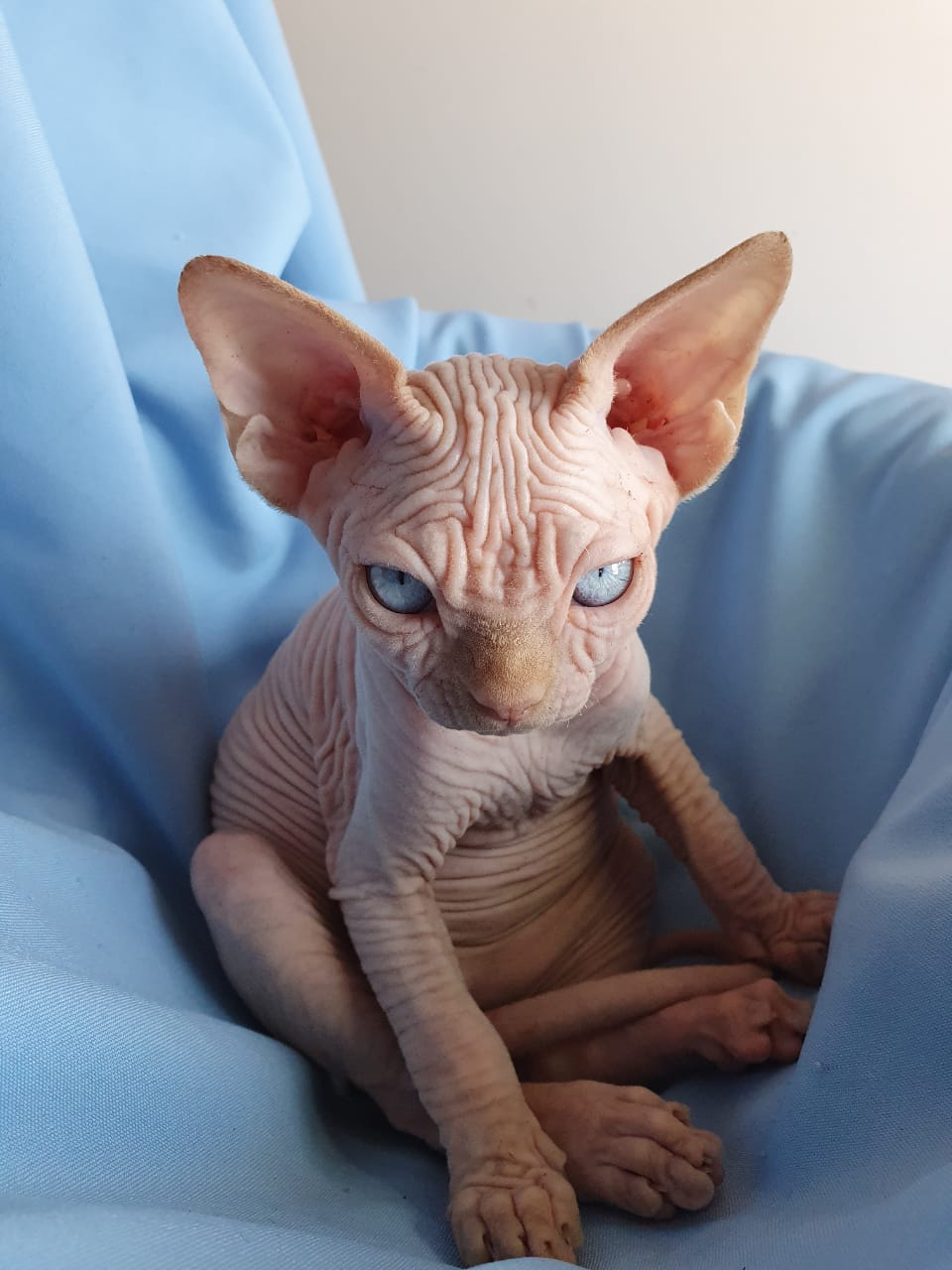 Что смотрите, нянчийте меня