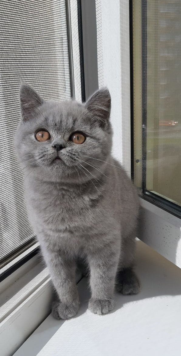 Пока вы спали, я в окошечко тихонечко смотрел