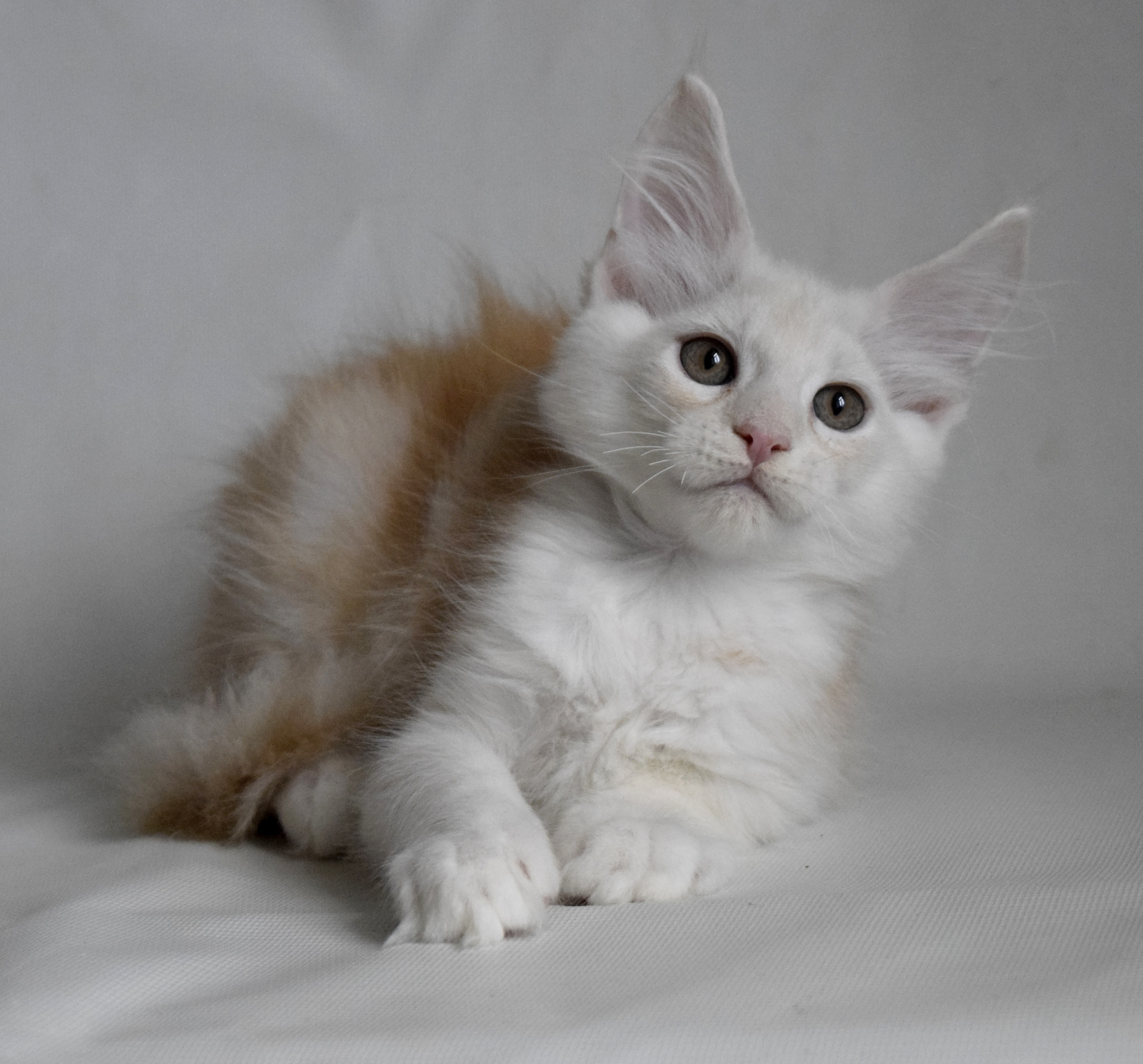 Да вы успокойтесь, всё же хорошо