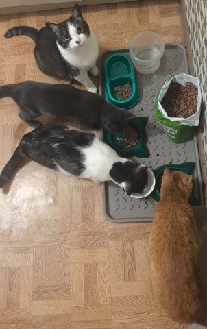 Добавочки, бы нам