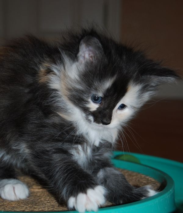 Сейчас мы разберёмся, из чего эта штука сделана