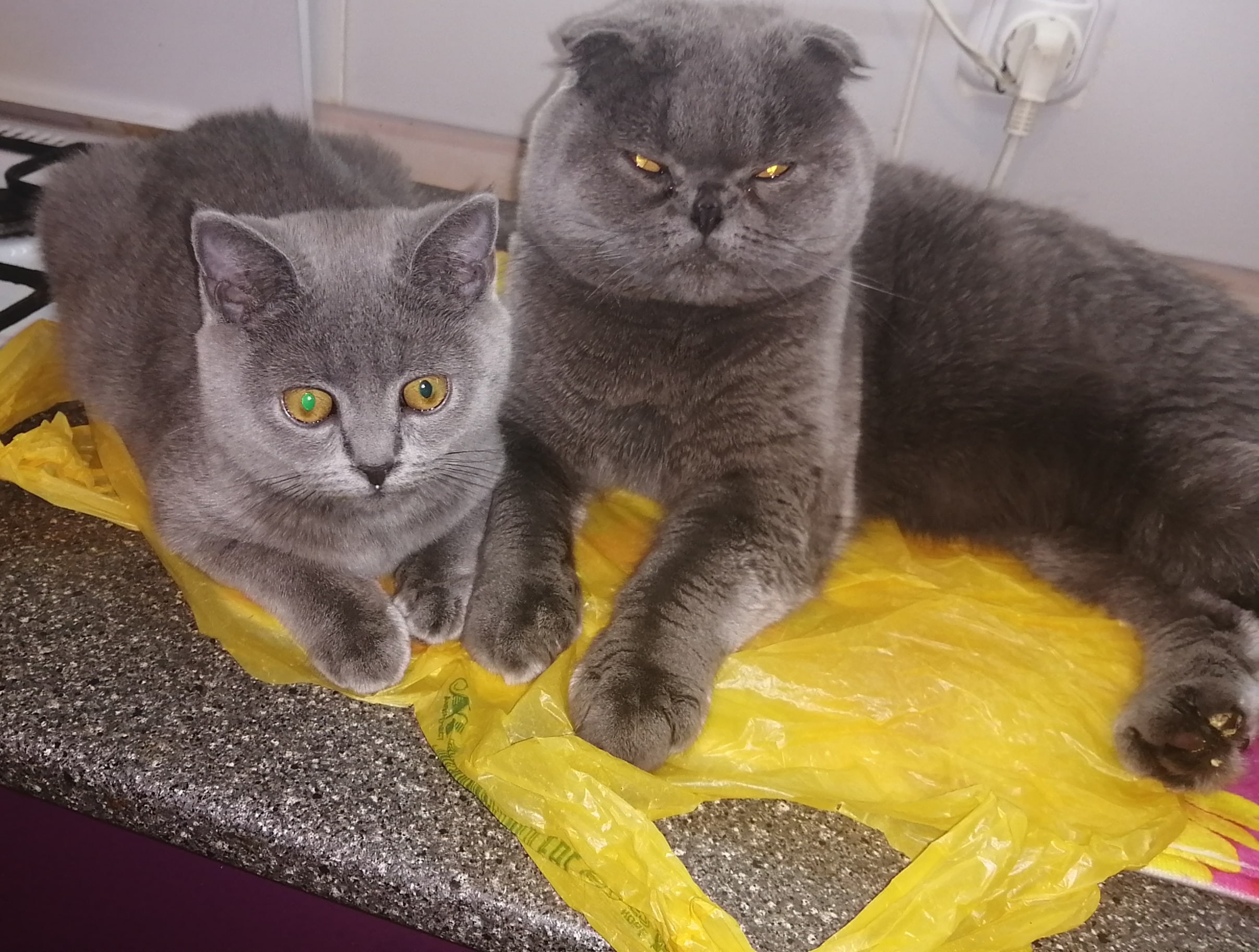 Ребёнок у меня всё перенимает, я довольна