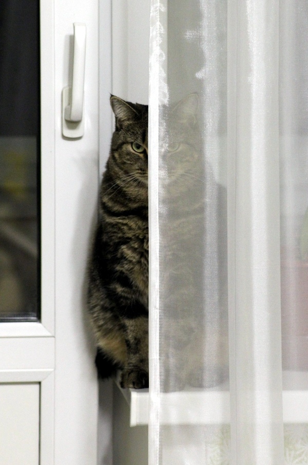 Занимайтесь своими делами, а я проконтролирую