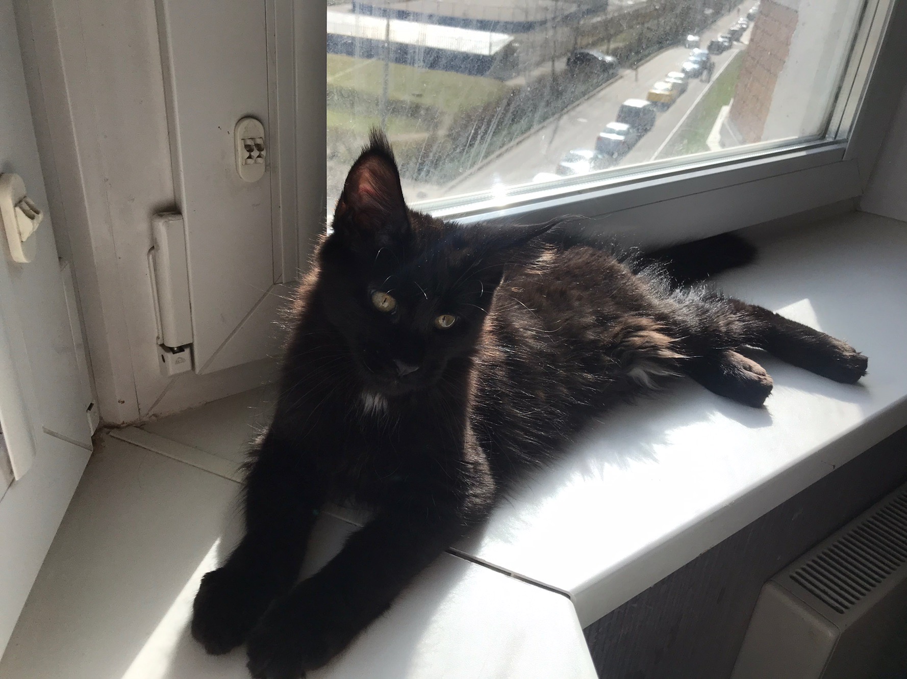 Кажется, я опять спать хочу, солнышко убаюкало