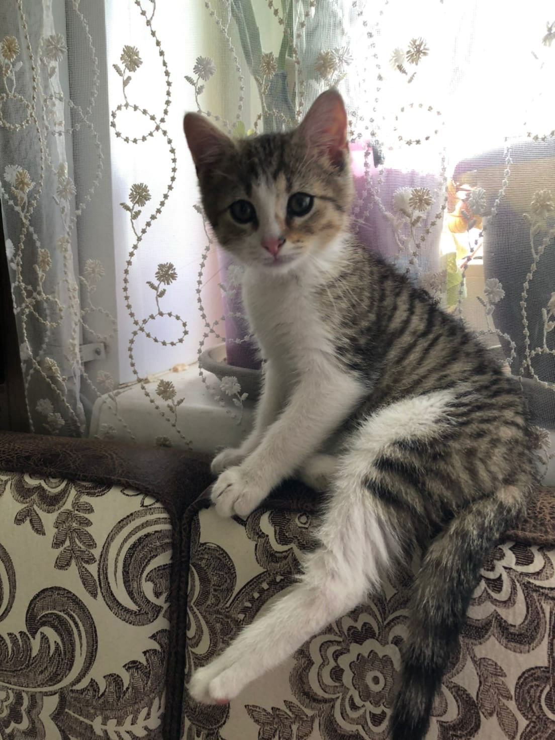 Вы бы подоконник освободили, чтобы я мог в окошко смотреть