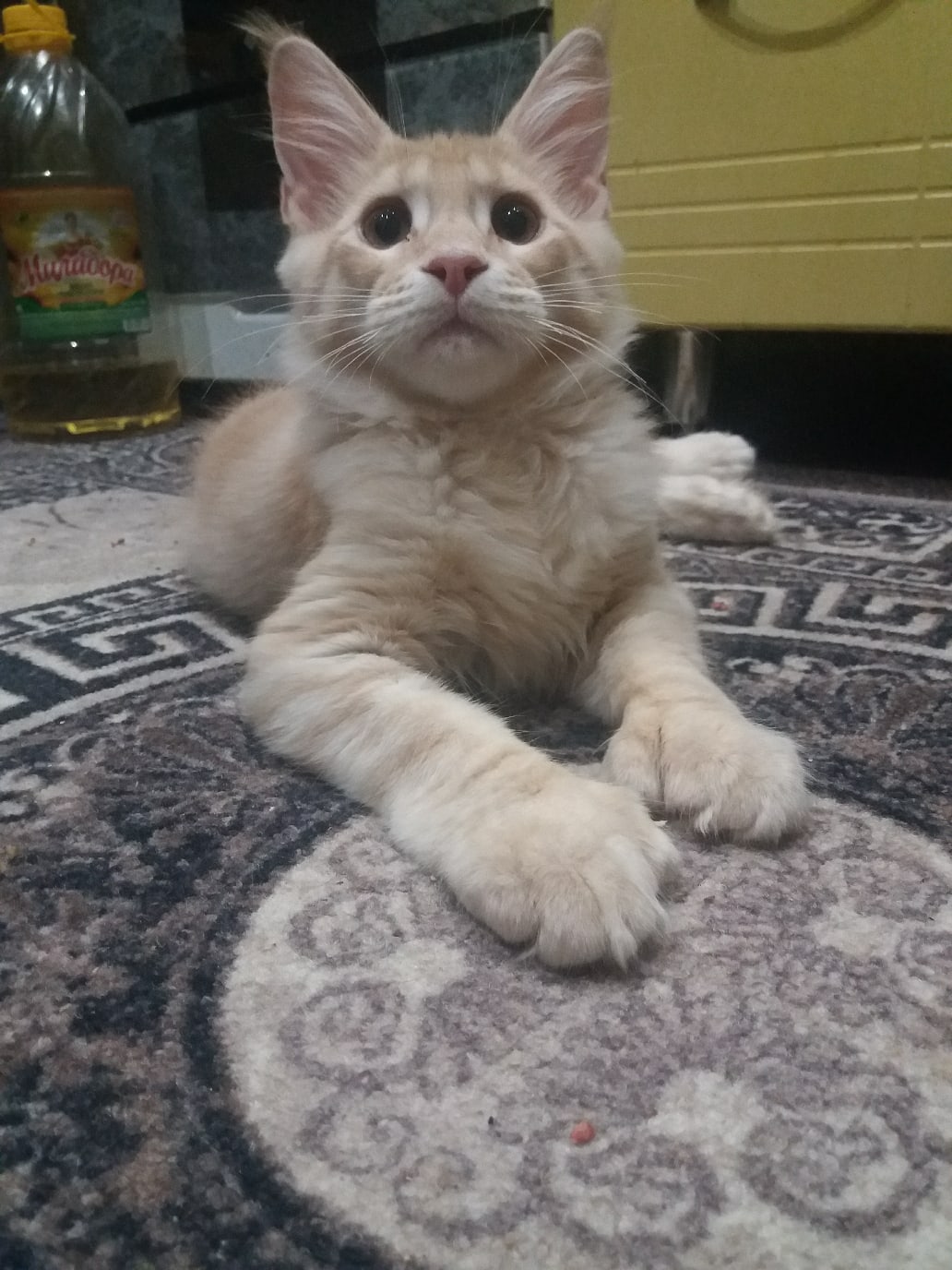 Скоро вы сготовите, я уже устал ждать