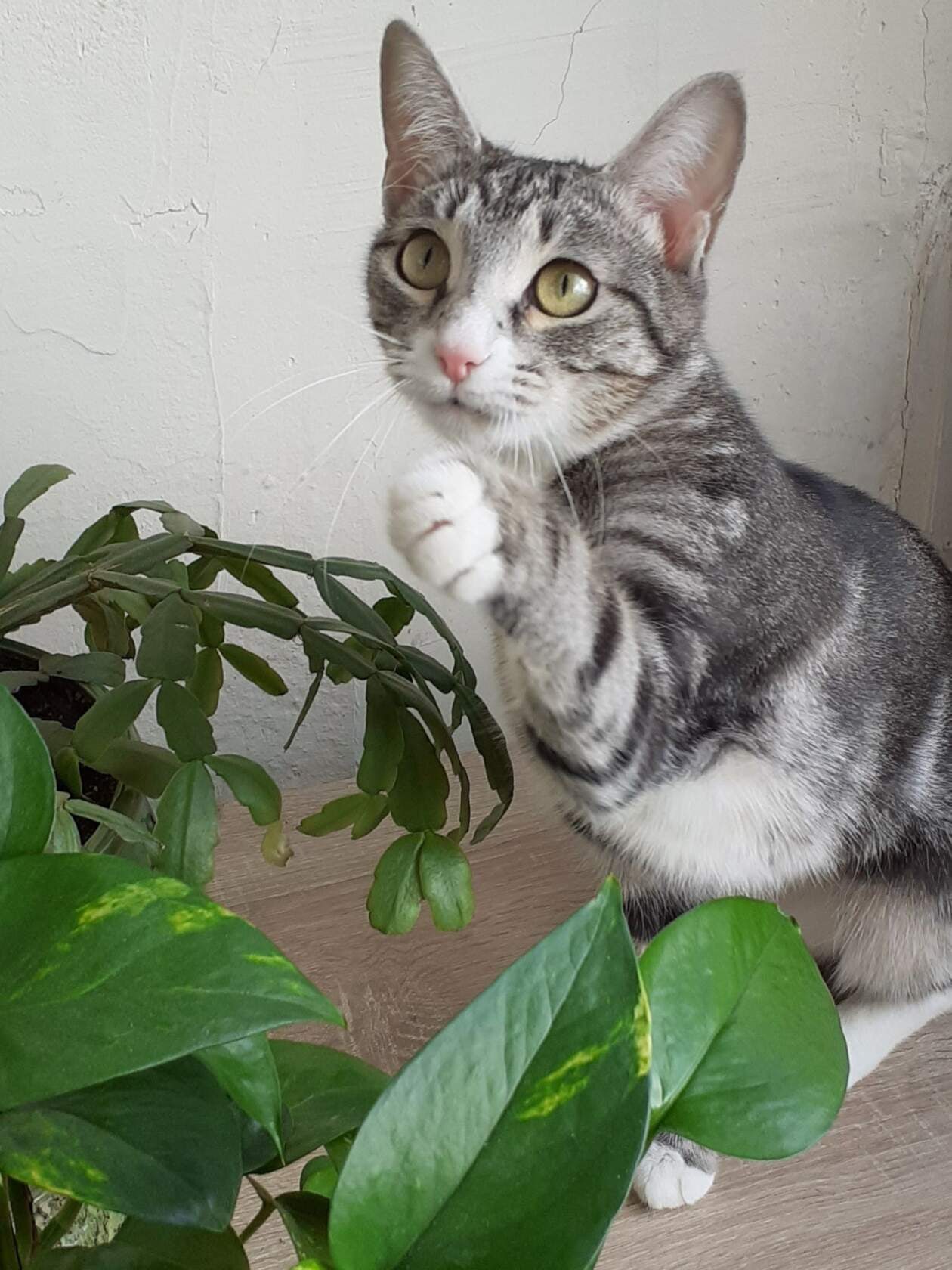 Что, даже дотрагиваться нельзя