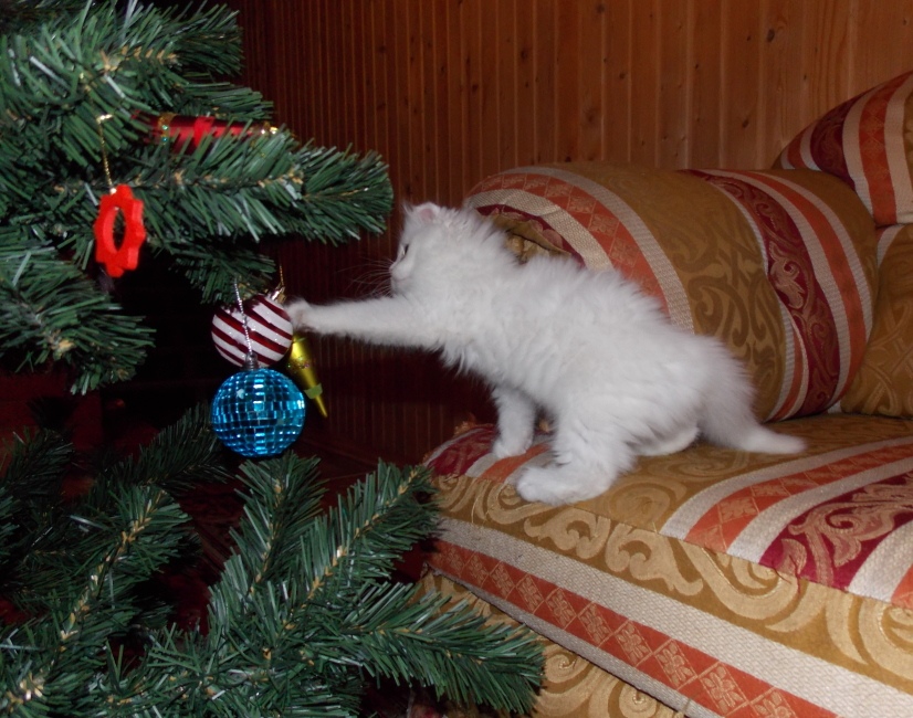 Незнаю зачем это, но мне нравится