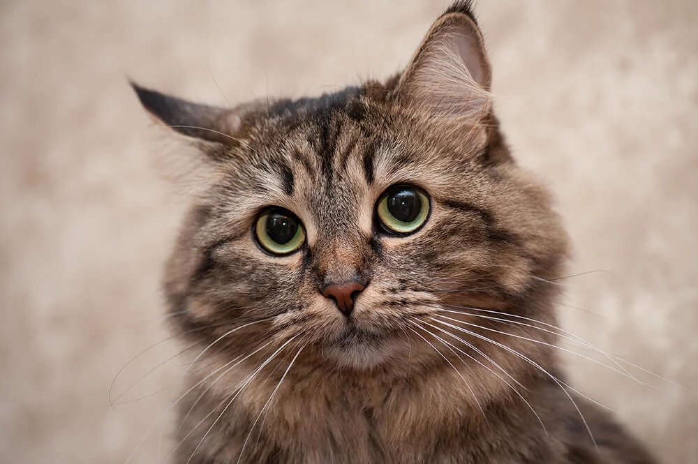 И что я рано проснулся,сегодня же воскресенье