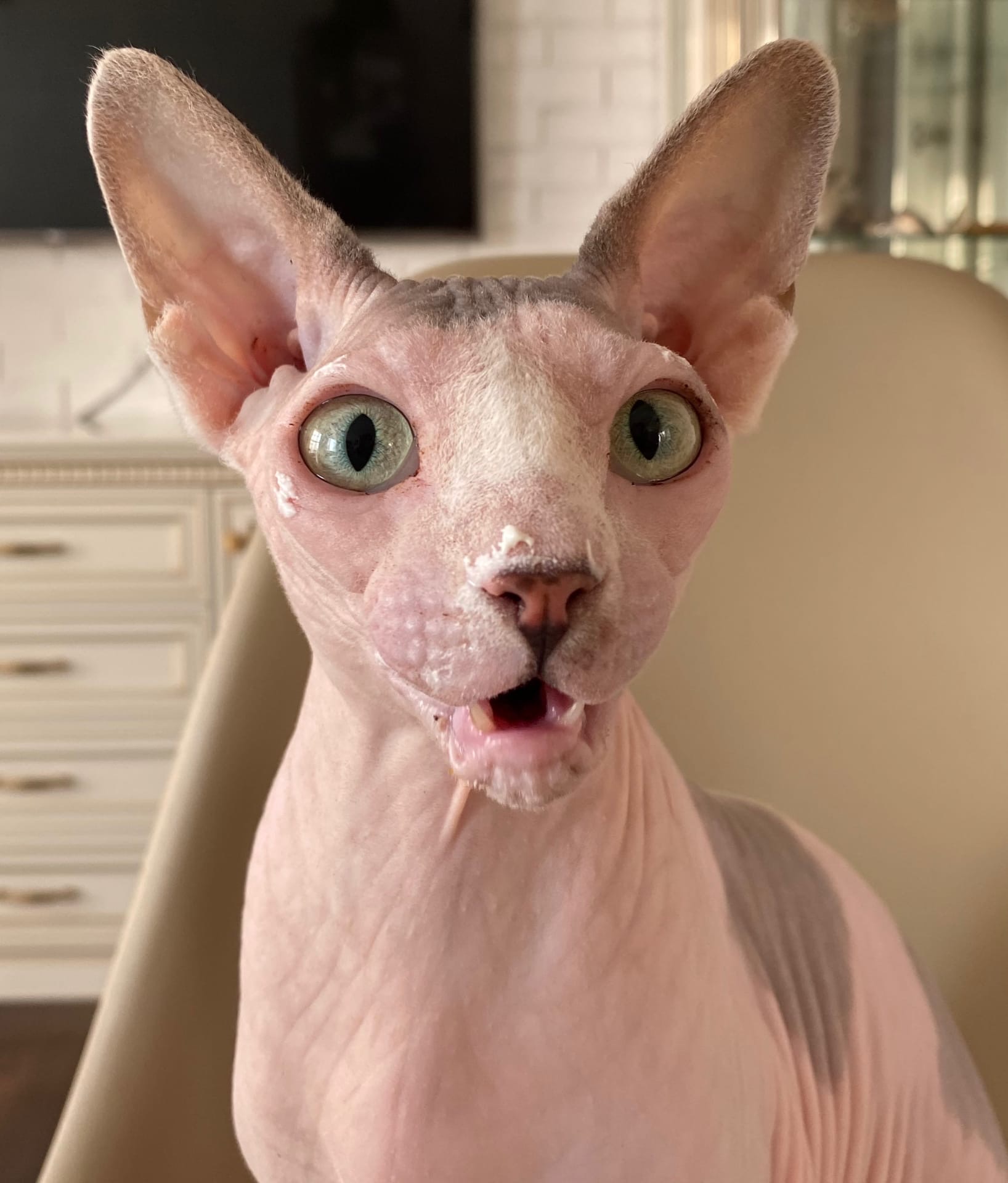 На работу собрались, неужели праздники закончились