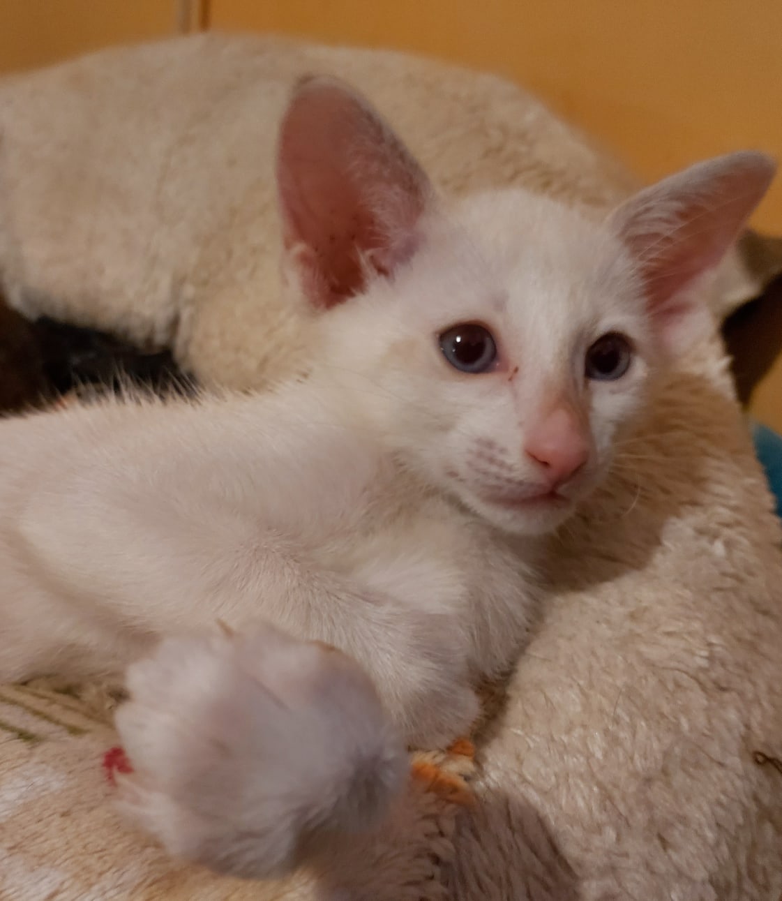 Разве можно променять постельку на какую - то работу