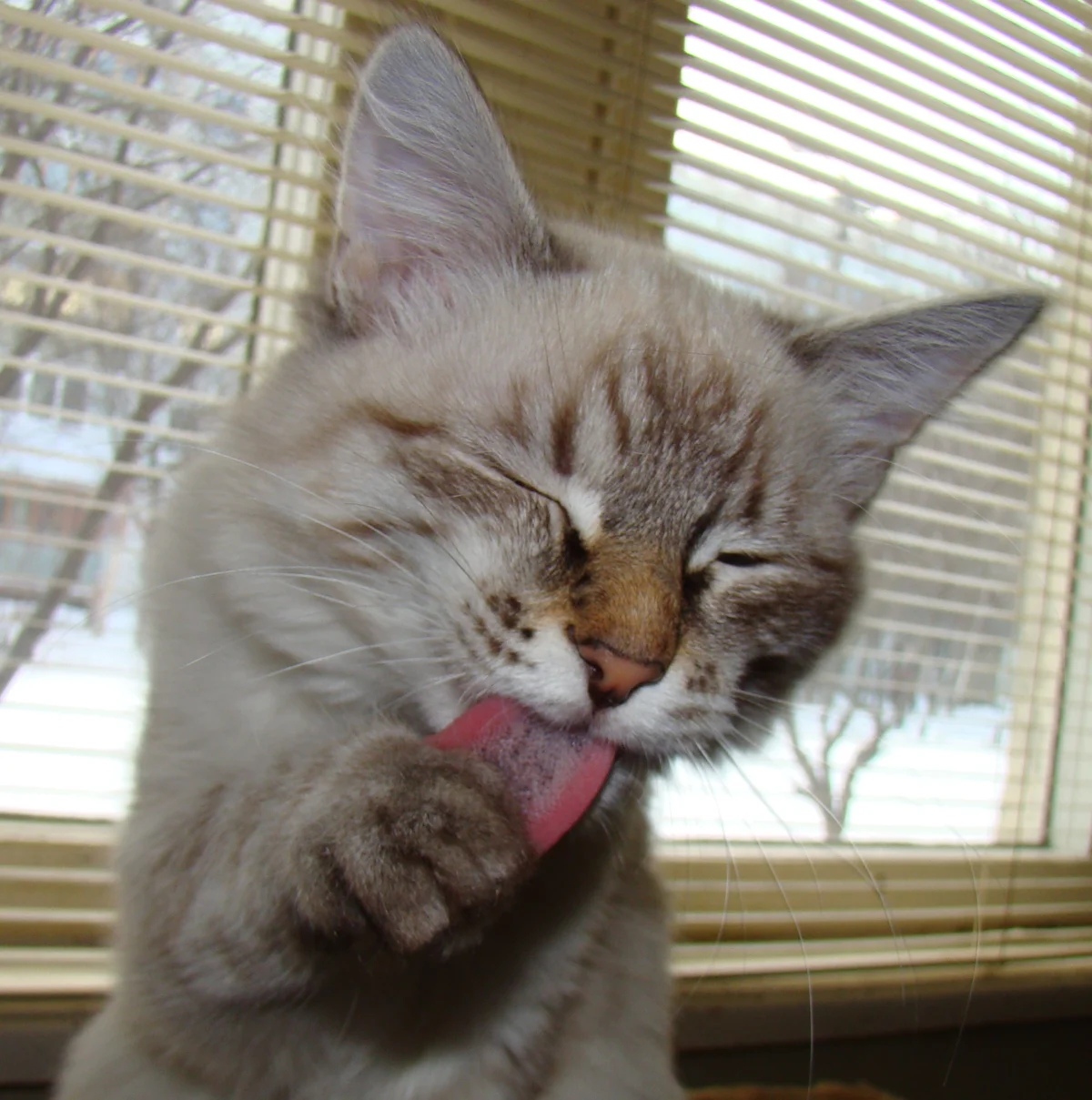 Не, я не пойду нос морозить