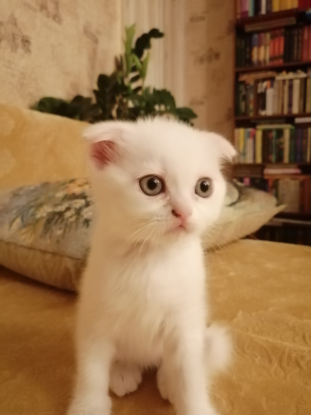 Что такая тишина, я что одна