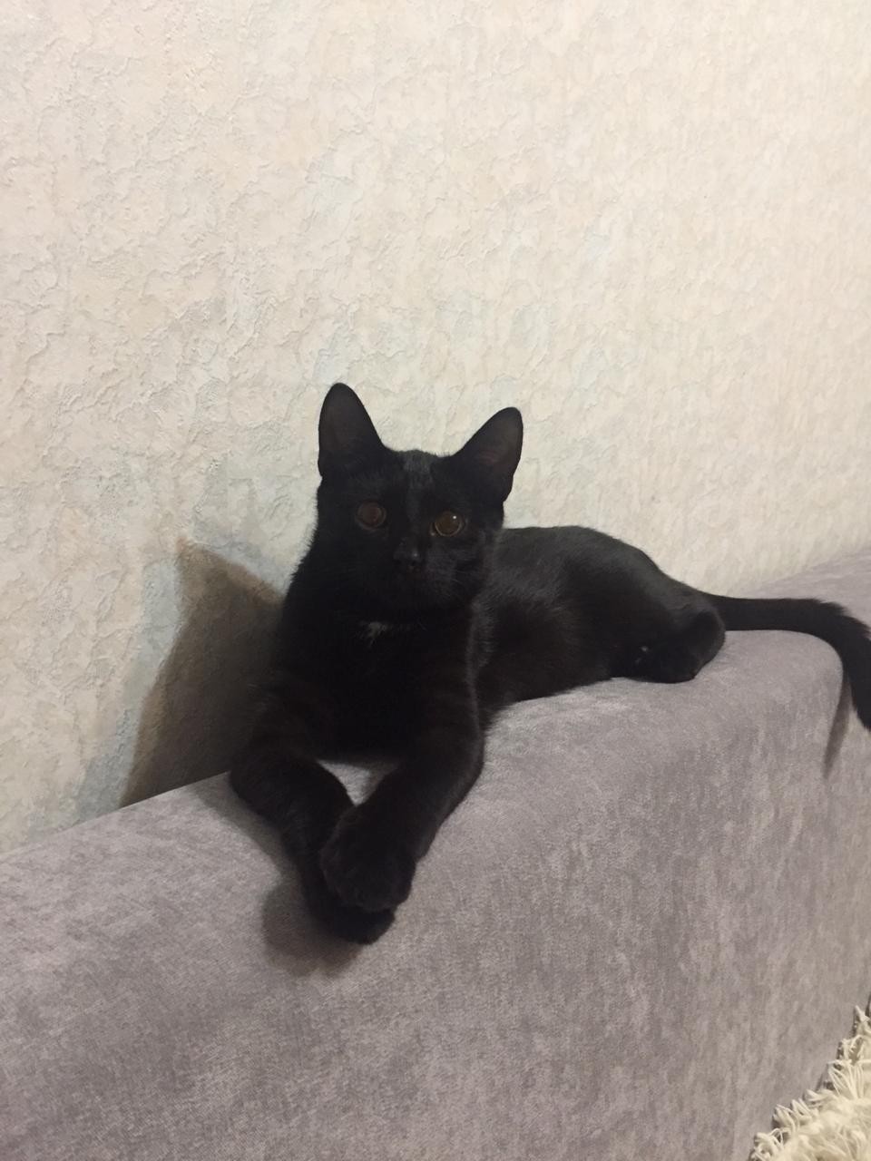 Слушаю я вас внимательно, но поступлю по - своему