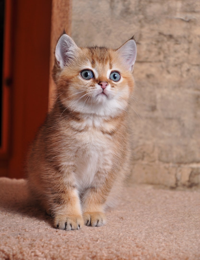 За ночь зарядился я и готов к приключениям