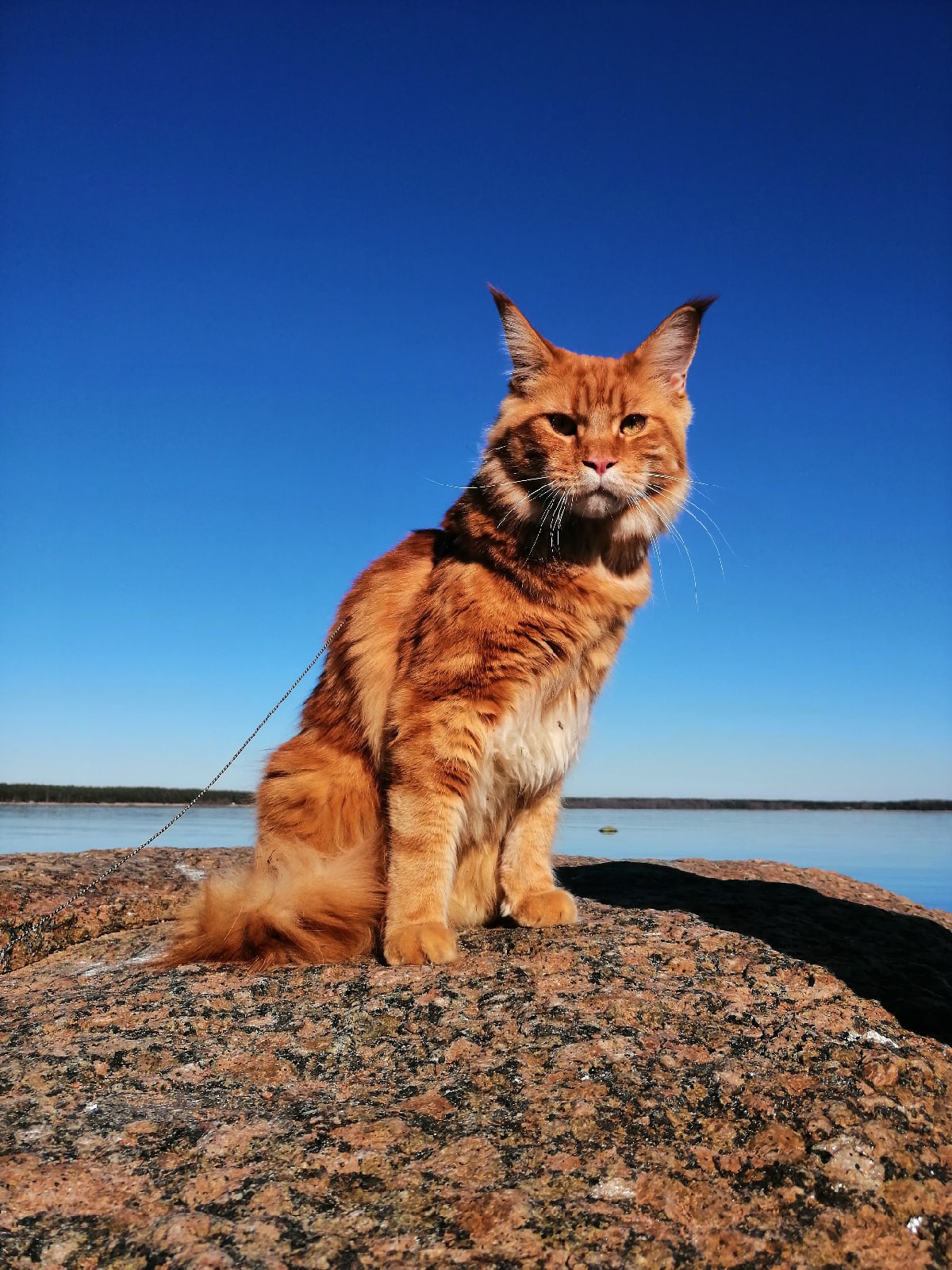 Что вы меня на привязи держите, я всё равно купаться не буду