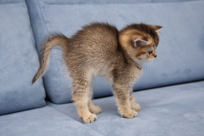 Кто как, а я наверно спать буду укладываться