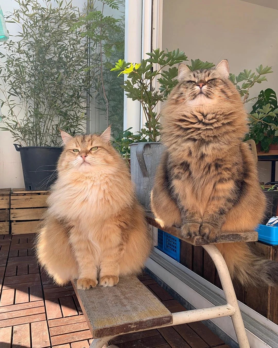 Вдох,выдох, наслаждаемся чудесным утром