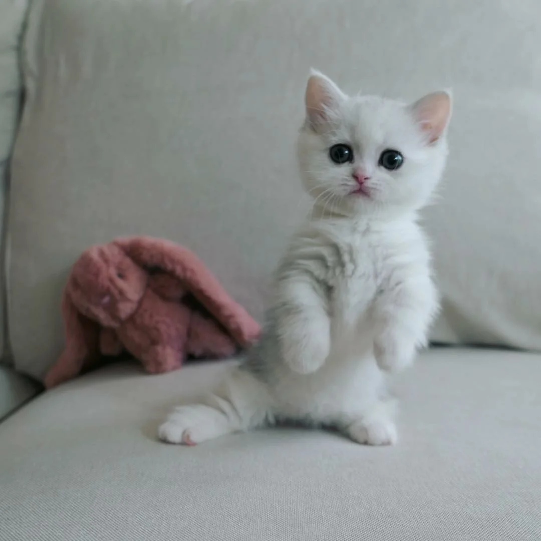 Я готов скакать с утра, повод мне не нужен