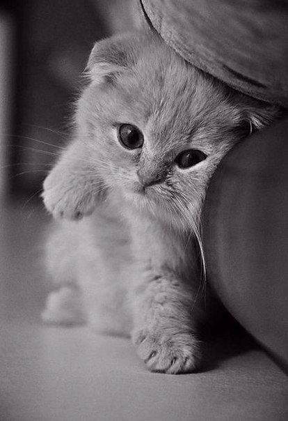 Я так не играю, вы чего меня так быстро нашли