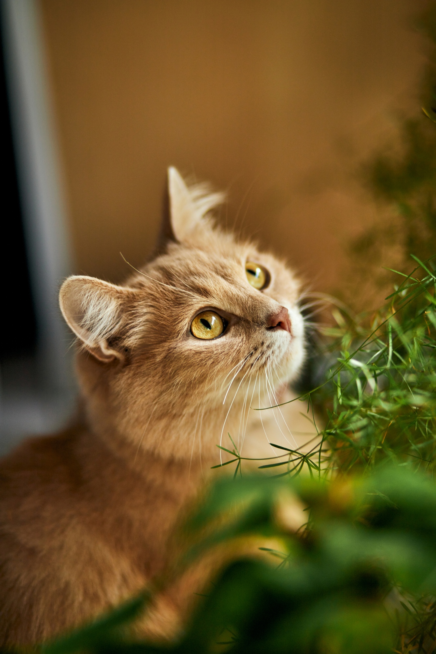 Цветочки надо бы полить, а то завянут