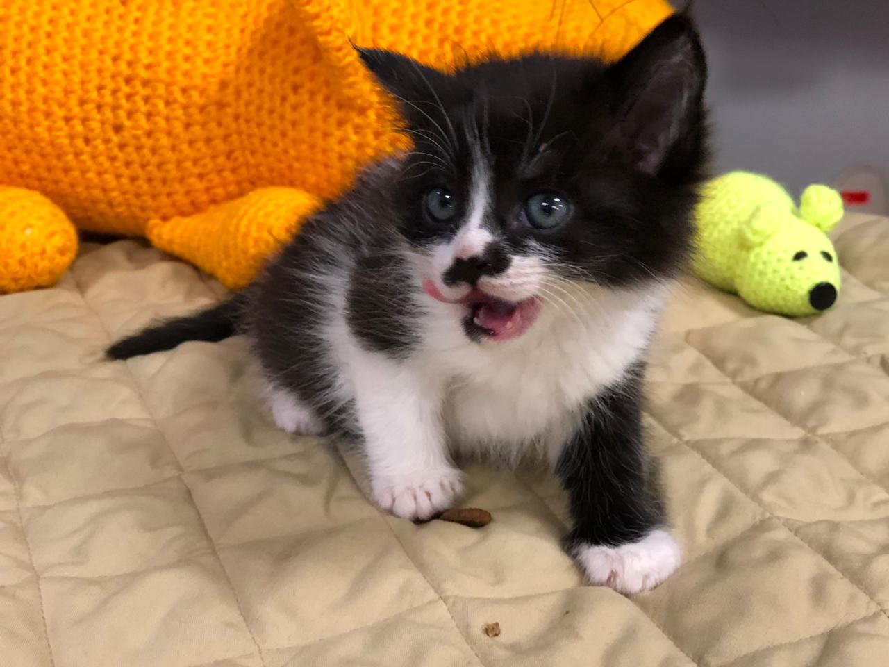 Мам, я проснулся, ты где